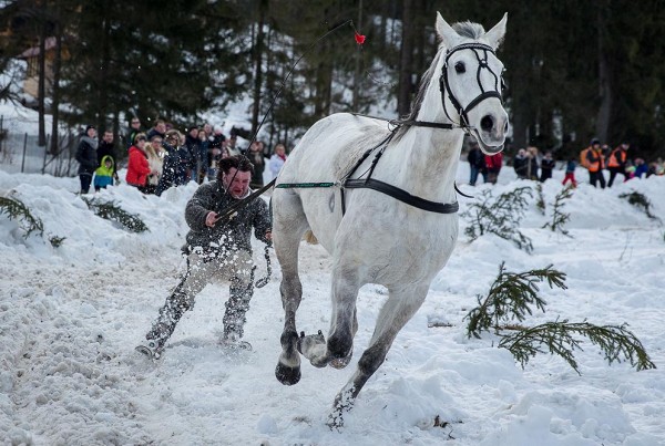 Wyścigi Gazdowskich kumoterek